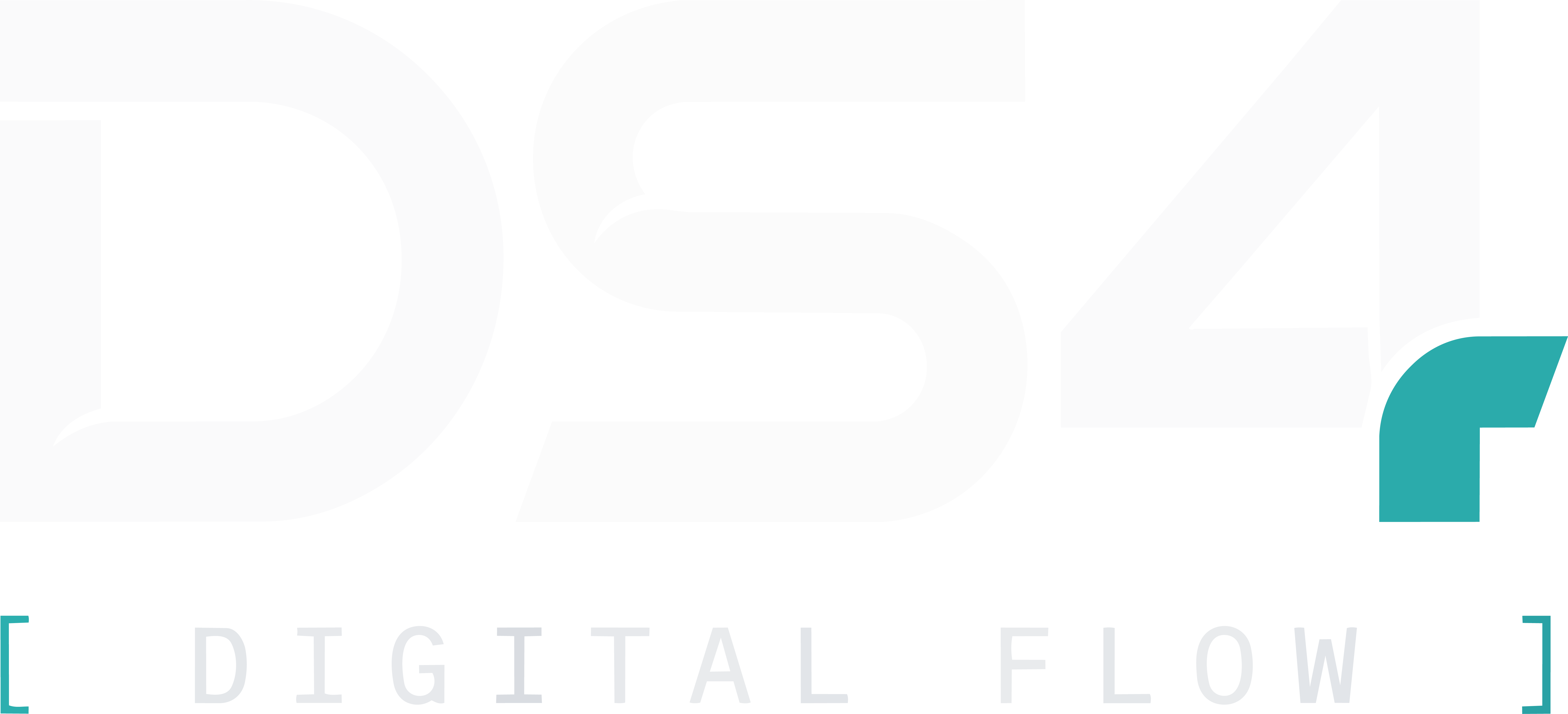 DS4 Digital Flow